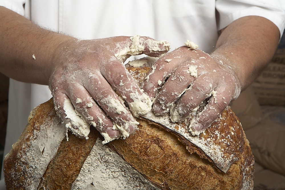 hand-crafted loaves made fresh daily in Cary, NC
